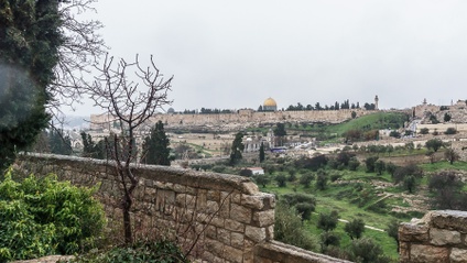 Product image for ISRAEL ; THE LAND DECLARES HIS TRUTH 