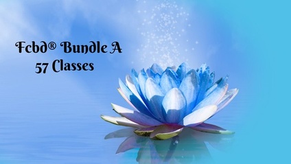 Product image for FCBD® Style Bellydance Course Bundle