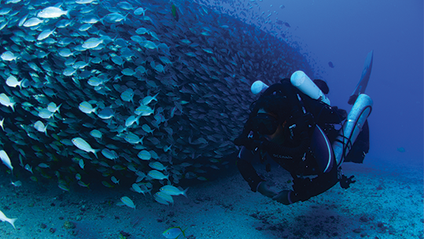 Product image for CCR Adv. EANx & CCR Adv. Rec. Trimix Diver eLearning