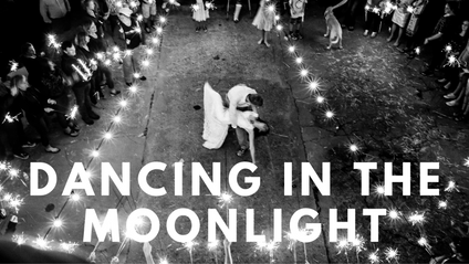 Product image for Dancing In The Moonlight by King Harvest Beginner Wedding Dance Tutorial