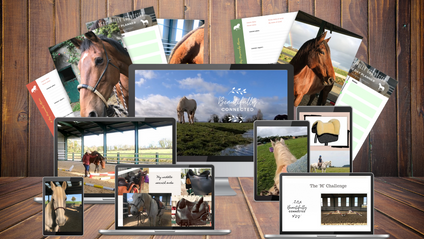 Product image for Horse Listening: Beautifully Connected  (with 36 months access)