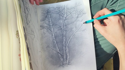 Product image for Draw What You See