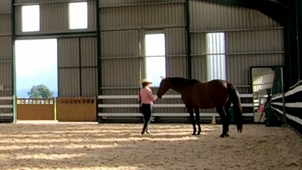 Product image for Listenology - Shoulder In & Out Training for better balance, bend & topline development with your horse  (with 36 months access)