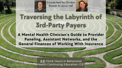 Product image for Traversing the Labyrinth of 3rd-Party Payers