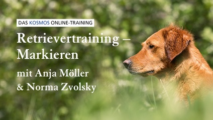 Product image for Retrievertraining Markieren