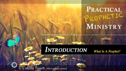 Product image for Practical Prophetic Ministry