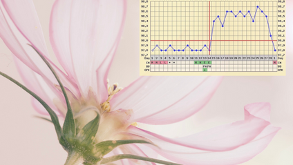 Product image for Fertility 101:  How to Get Pregnant .... Cycle Charting & More