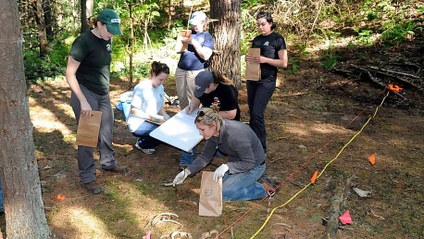 Product image for Forensic Archaeology and Outdoor Crime Scene Reconstruction, Vol. XXIX
