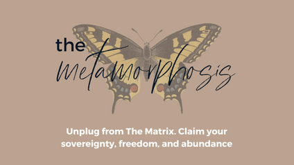 Product image for The Metamorphosis