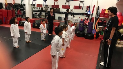 Product image for WHITE BELT CURRICULUM