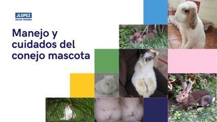 Product image for Manejo y Cuidados del Conejo Mascota