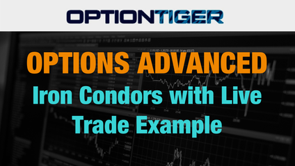 Product image for Iron Condors Live Trade example