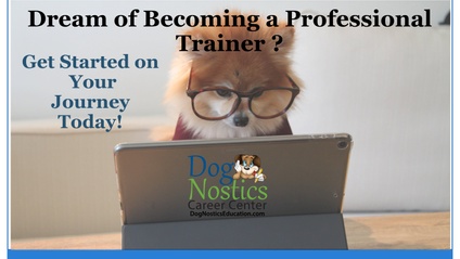 Product image for Gain Your Dog Training Apprentice Course Certificate!