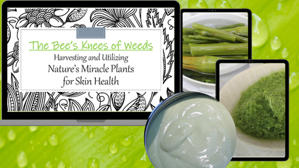 Product image for The Bees Knees of Weeds - How you can turn Jewelweed and Plantain into skin-healthy creams and lotions