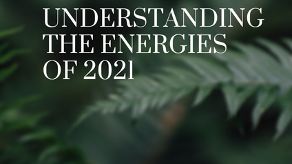 Product image for Understanding the Energies of 2021