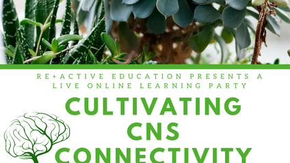 Product image for Cultivating CNS Connectivity 1.0: A guide for assessment and treatment for central pain, FND and dystonia (Oct 2020)