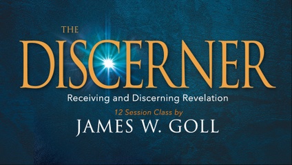 Product image for The Discerner