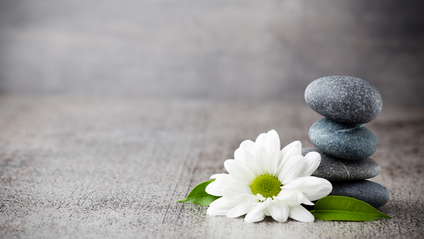 Product image for Foundational Care Course Bundle: How to Heal Your Gut Naturally, Whole Food Nutrition, and Holistic Detox Support