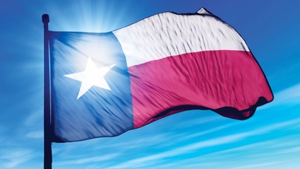 Product image for Texas Food Handler