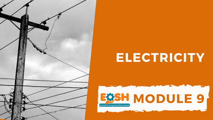 Product image for Electricity