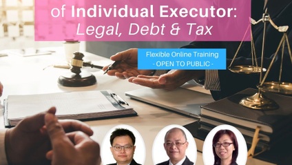 Product image for (English) Duties and Liabilities of Individual Executor: Legal, Debt & Tax