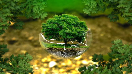Product image for Biogeophysics: Exploring Earth’s Subsurface Biosphere Using Geophysical Approaches