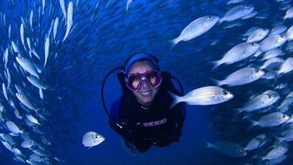 Product image for Open Water Diver eLearning