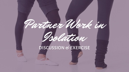 Product image for Partner Work in Isolation