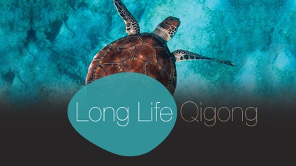 Product image for Introduction Course for the Long life Qigong System
