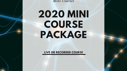 Product image for 2020 Mini Course Package