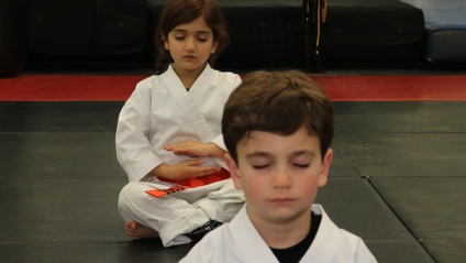 Product image for Meditation for Martial Artists