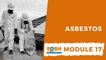 Product image for Asbestos