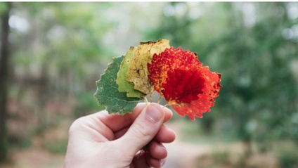 Product image for 4 Steps To Positive Incremental Change