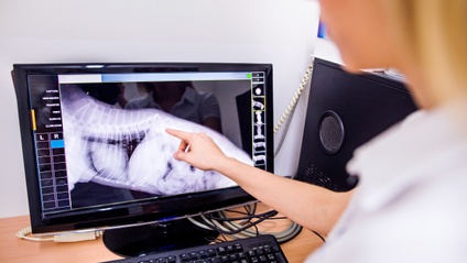 Product image for Radiology - Thoracic Radiographic Interpretation
