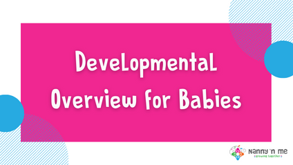 Product image for Developmental Overview for Babies