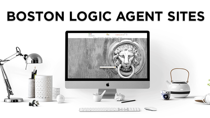 Product image for Boston Logic Agent Sites