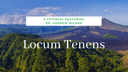Product image for Locum Tenens - Interview with Dr. Andrew Wilner