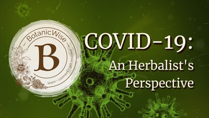 Product image for COVID-19: An Herbalist's Perspective