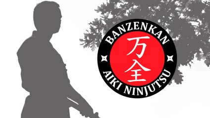 Product image for Aiki Ninjutsu White Belt Curriculum