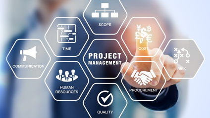 Product image for IT PROJECT MANAGEMENT