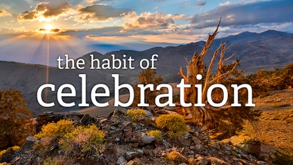 Product image for The Habit of Celebration