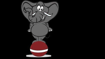 Product image for Agency Elephorms - A How To