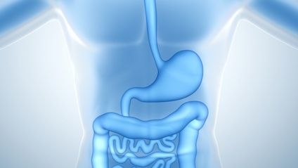 Product image for Intestinal Health