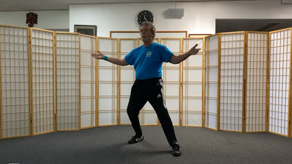 Product image for Yi Fei Gong with Bill Helm