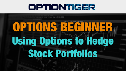 Product image for Use Options to Hedge Stock positions