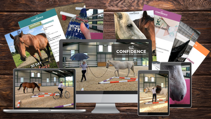 Product image for Confidence Fix: Self Study Edition by Grey Pony Films  (with 36 months access)