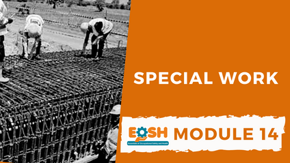 Product image for Special Work