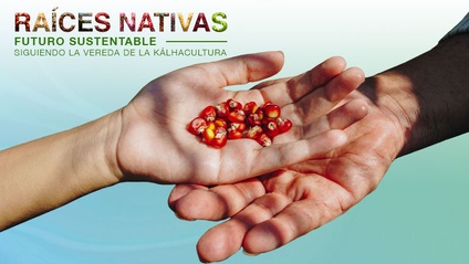 Product image for Raíces Nativas, Futuro Sustentable