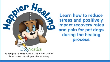 Product image for Happier Healing Program for Pet Dog Guardians