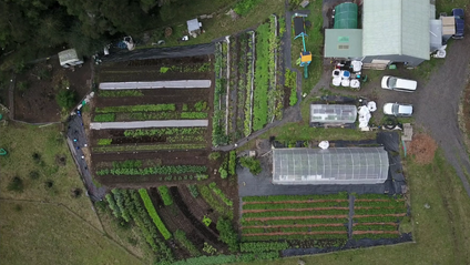 Product image for Pākaraka Permculture's Market Gardening Online Course Independent Learners